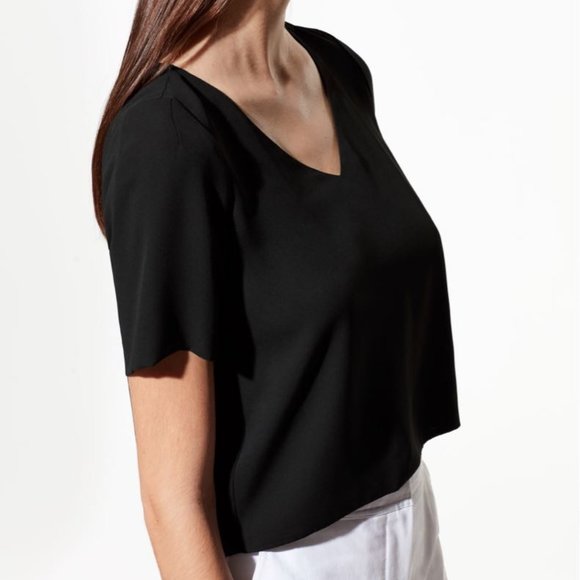 Babaton Tops - Aritzia Babaton Randy Blouse